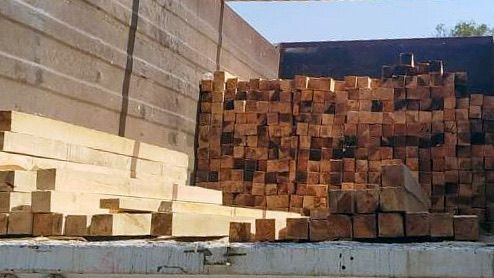 Incautación de madera en Puebla.