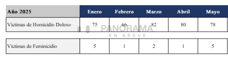 Los delitos en el municipio Puebla relacionados con la libertad y la seguridad sexual registraron un incremento durante los primeros cuatro meses de 2026 en comparación con el mismo periodo de 2025, de acuerdo con cifras de la Fiscalía General del Estado (FGE). 