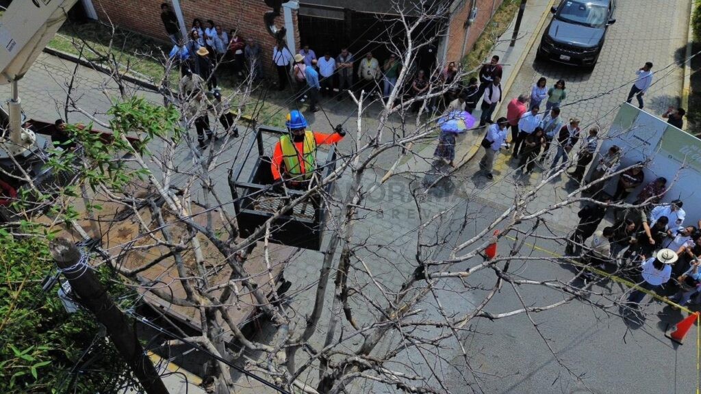 La presidenta de Atlixco, Ariadna Ayala, dio el banderazo de inicio al Plan Castor 2026, una estrategia preventiva coordinada por la Dirección de Protección Civil para atender el arbolado urbano .