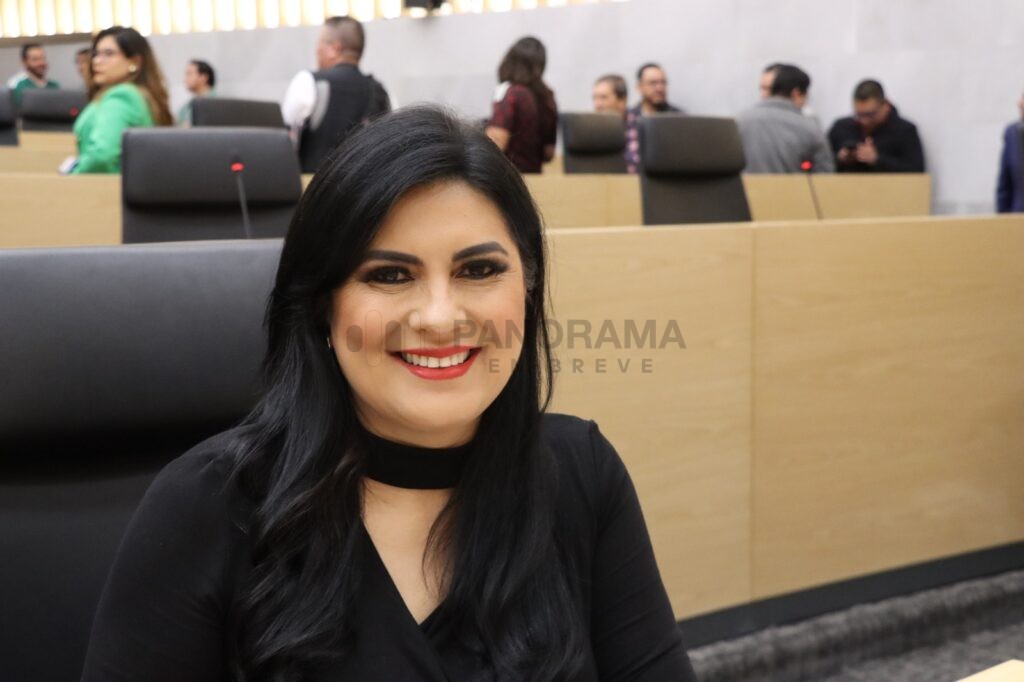 Impulsa Angélica Alvarado iniciativa para garantizar el interés superior de la niñez al determinar una custodia.