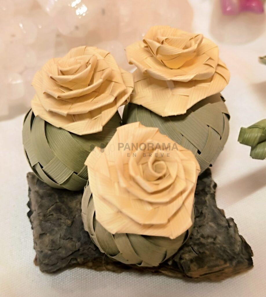 En Zapotitlán salinas la riqueza cultural, artesanal y natural de la Mixteca poblana tendrá una de sus mayores vitrinas el próximo 21 de junio.