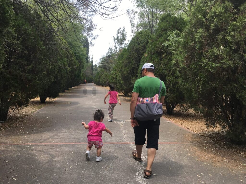 Para celebrar el Día del Padre, cada tercer domingo de junio, millones de familias mexicanas se reúnen, una fecha dedicada a reconocer la labor.