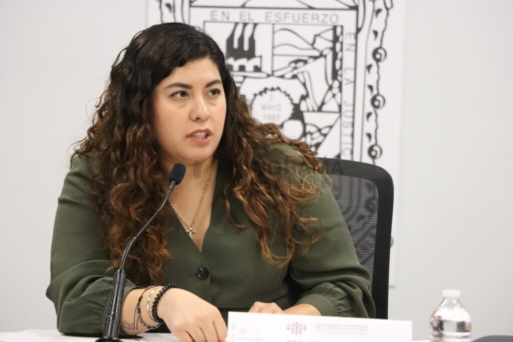 La Comisión de Igualdad de Género, presidida por la diputada Xel Arianna Hernández García, aprobó el proyecto de dictamen.
