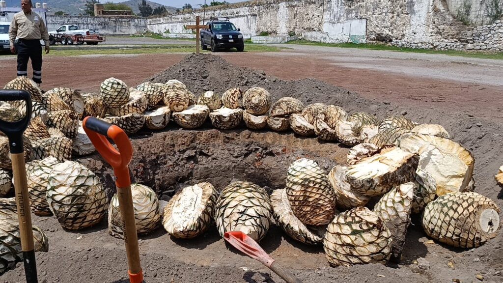 Entre piedras volcánicas al rojo vivo, leña cuidadosamente acomodada y enormes piñas de agave listas para su transformación, Atlixco abrió una ventana a una de sus tradiciones más emblemáticas: la elaboración artesanal del mezcal.
