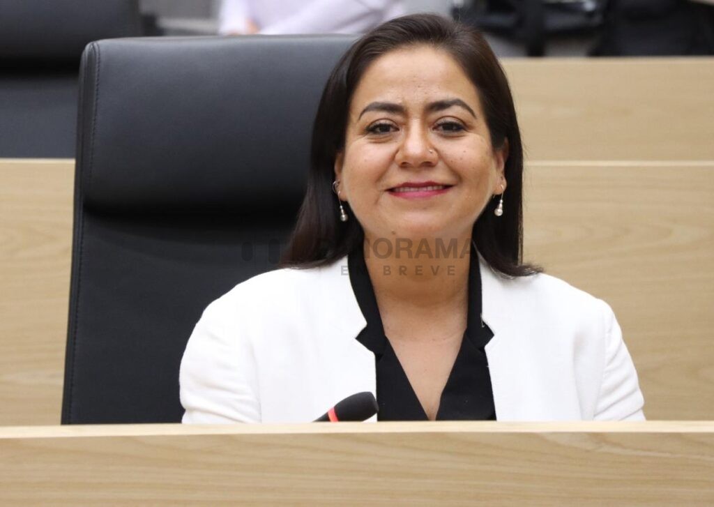 Con el objetivo de fortalecer la protección de la seguridad personal, la privacidad y la libertad de las personas, la diputada Celia Bonaga Ruiz presentó una iniciativa de reforma al Código Penal del Estado de Puebla para tipificar el delito de acecho, una conducta conocida internacionalmente como stalking