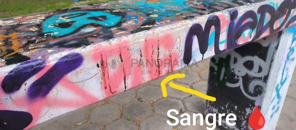 Intensa movilización de cuerpos de emergencia y corporaciones de seguridad se registró en el Parque Skate Plaza, ubicado sobre el Bulevar Xonaca, a la altura de la 20 Norte, luego del hallazgo de un hombre sin vida.