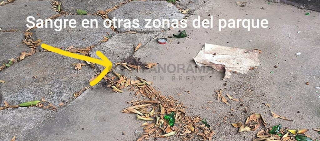 Intensa movilización de cuerpos de emergencia y corporaciones de seguridad se registró en el Parque Skate Plaza, ubicado sobre el Bulevar Xonaca, a la altura de la 20 Norte, luego del hallazgo de un hombre sin vida.