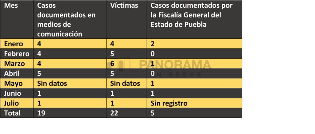 Un rastreo realizado a partir de distintos medios de comunicación documenta al menos 19 presuntos casos de feminicidio, en los que 22 mujeres y niñas.
