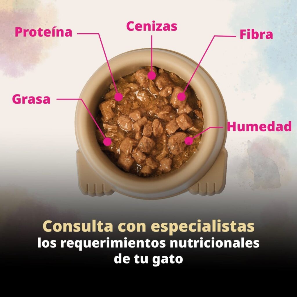 profeco
