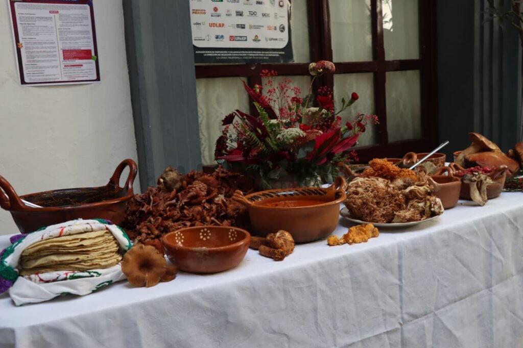 Como parte de las estrategias del Gobierno de la Ciudad para impulsar el desarrollo económico y la identidad comunitaria, regidoras del Cabildo invitaron a la Feria del Hongo Silvestre en San Miguel Canoa.