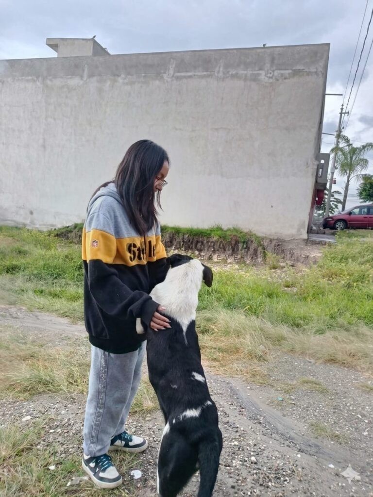 El abandono animal representa mucho más que dejar a un animal en la calle. Para perros y gatos significa enfrentar hambre, enfermedades y la reproducción descontrolada.