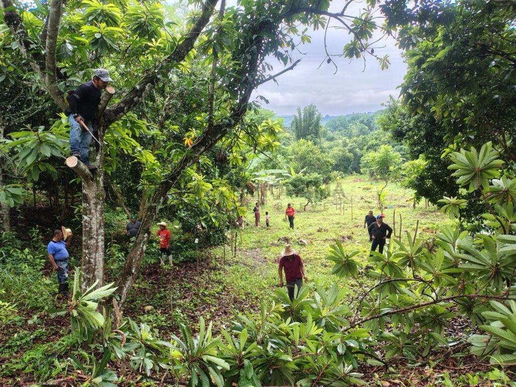 El 9 de agosto se conmemora el Día Internacional de los Pueblos Indígenas, una fecha que invita a reconocer el legado histórico, cultural y ambiental de las comunidades originarias