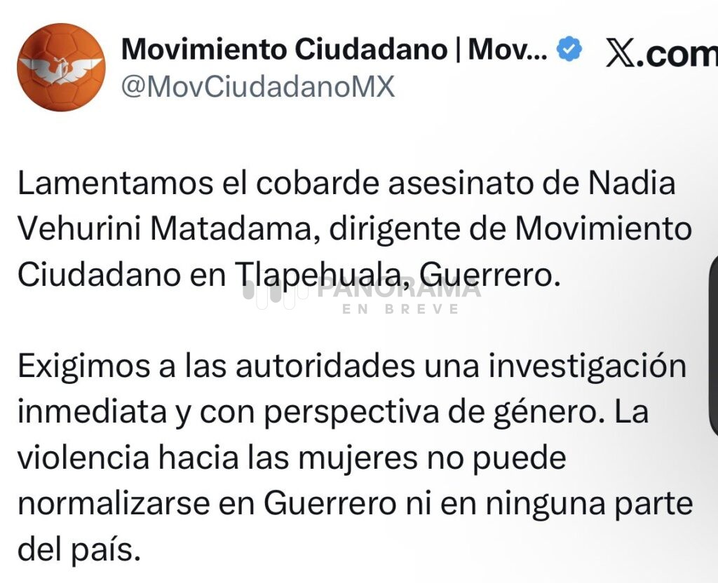El asesinato de la doctora Nadia Vehurini Matadama Díaz, dirigente municipal de Movimiento Ciudadano (MC) en Tlapehuala, Guerrero, generó consternación entre integrantes del partido.