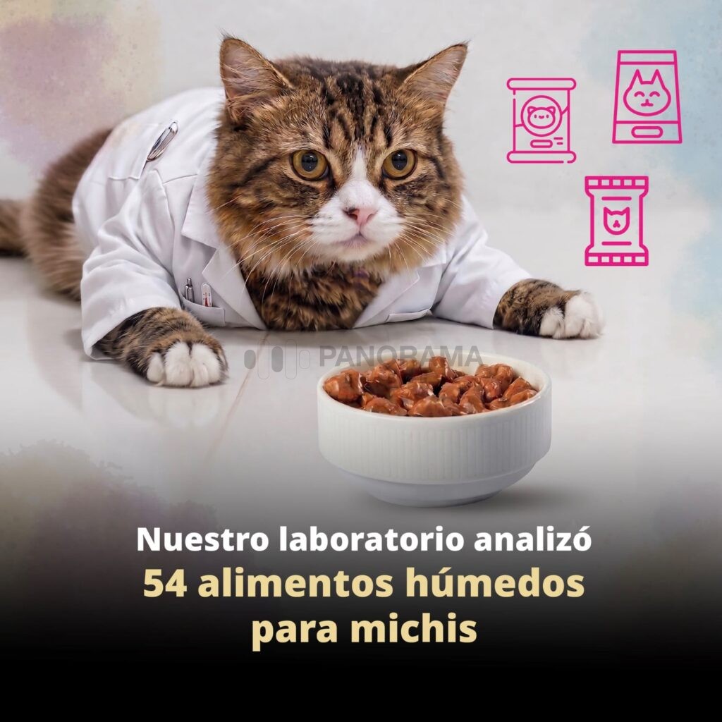 La Procuraduría Federal del Consumidor (Profeco) identificó incumplimientos en cinco productos de alimento húmedo para gato.