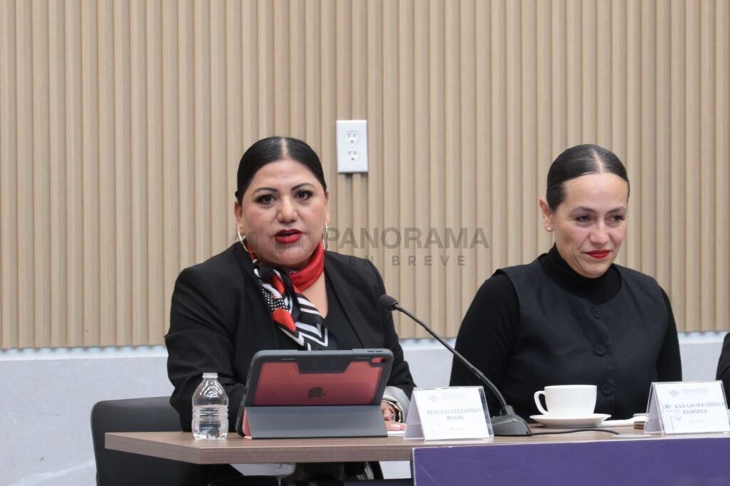 La diputada Araceli Celestino Rosas dio a conocer la presentación de una iniciativa para establecer criterios sobre el uso responsable de dispositivos electrónicos.