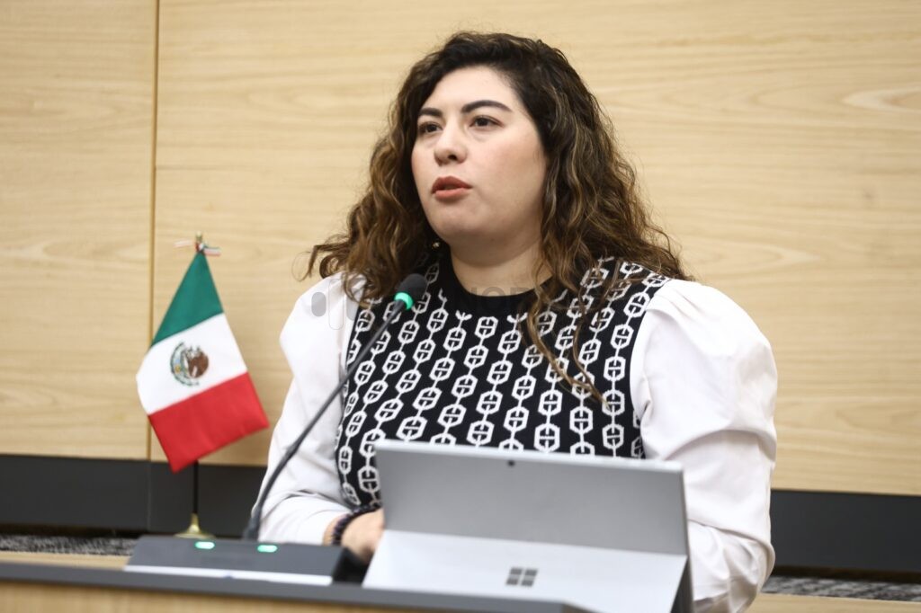La diputada Xel Hernández presentó ante el Congreso del Estado una iniciativa para fortalecer la protección de mujeres, niñas, niños y adolescentes frente a situaciones de violencia vicaria.