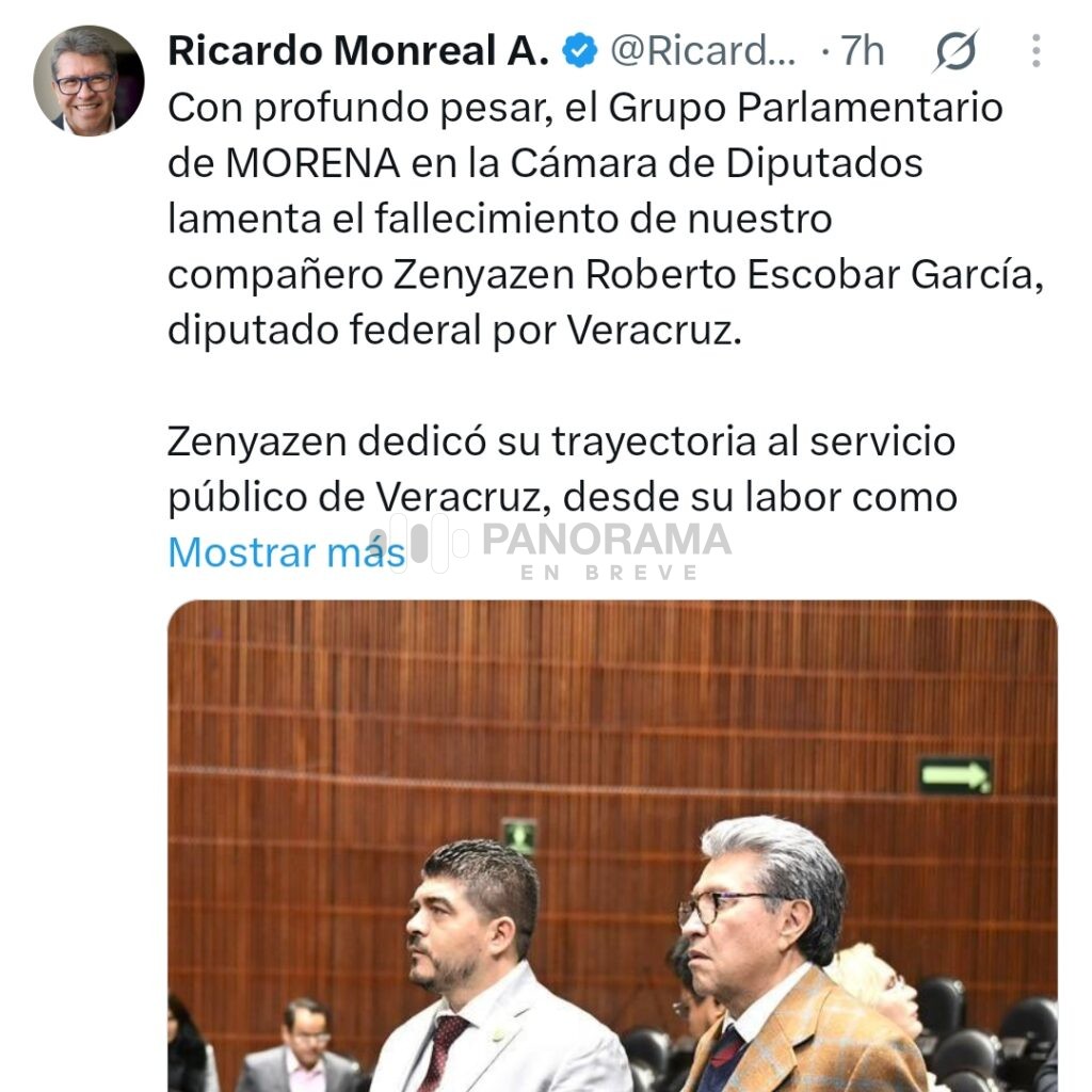 El diputado federal de Morena, Zenyazen Roberto Escobar García, de  fue localizado sin vida en el estado de Veracruz.