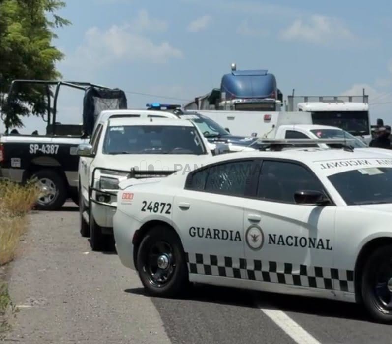 El diputado federal de Morena, Zenyazen Roberto Escobar García, de  fue localizado sin vida en el estado de Veracruz.