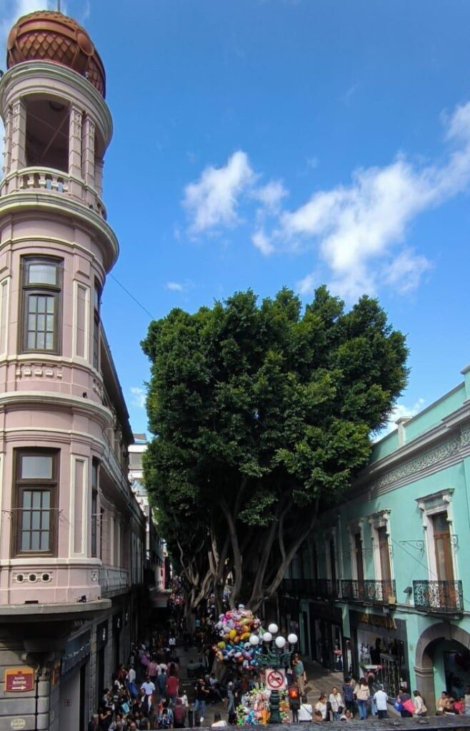 Puebla se convertirá en la primera ciudad de América Latina en realizar las Jornadas del Patrimonio, una iniciativa surgida en Francia en 1984.